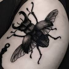 An Incredible Depictions Of A Stag Beetle By Ilja Hummel Ig Iljahummel Black Illustrative Iljahummel Stagbeetle Beetle Tattoo Bug Tattoo Insect Tattoo #idk the language of the youth eludes me #saperda tridentata #my art #my leg. beetle tattoo bug tattoo insect tattoo