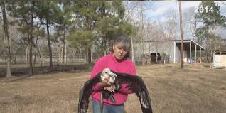 Remembering Suzy Heck, founder of Heckhaven Wildlife Rehabilitation Center