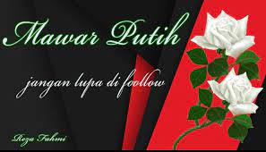 Sudah ada mawar putih jangan cari yang merah sudah punya cinta suci jangan cari masalah. Mawar Putih Posts Facebook