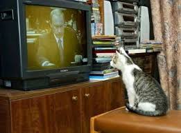 Смотрите тв россии, украины и белоруссии в прямом эфире бесплатно. A My Smotrim Televizor Lyubov Yurchenko Stihi Ru