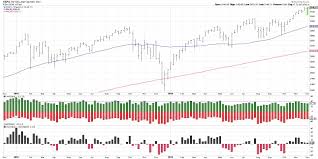 stock market rallies under narrowing sentiment the mindful