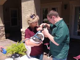 Pet Day At The Villa Apartments Veterinary Clinic Pet Day Pet Health Care