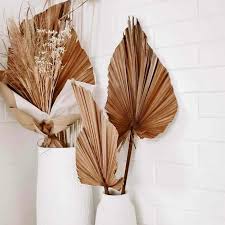 Check spelling or type a new query. Daun Palem Palem Rustik Daun Rustik Daun Palm Bunga Kering Natural Lazada Indonesia