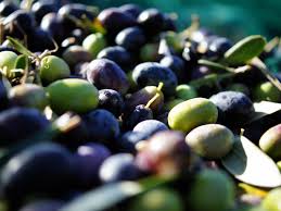 Sicilian cuisine offers countless ideas to make your vegetables succulently delicious. A Beginner S Guide To Olives 14 Varieties Worth Seeking Out