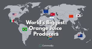 Orange Juice Learn How To Trade It At Commodity Com