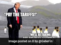 Penguin Memes Fill Internet After Trump Tariffs An Uninhabited Island