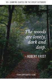60 epic camping quotes on the great outdoors outdoor quotes camping quotes camping humor