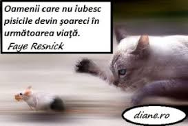 Believe no tales from an enemy`s tongue. Pisicile In Citate Maxime Aforisme Proverbe Diane Ro