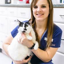 Eskew is straightforward, down to earth, let's you know your options but never pushes anything on you, and always explains why he is or isn't doing something. Main St Veterinary Hospital 36 Photos Veterinarians 1067 36th Ave Nw Norman Ok Phone Number
