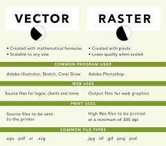 Vector Vs Raster Images Whats The Difference Natsumi