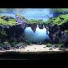 Semakin lebar aquarium, tentunya bahan bahan yang dibutuhkan untuk membuat sebuah aquarium sampai selesai memerlukan biaya yang lumayan dan juga harga aquarium pun akan semakin mahal. 1