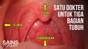 Biasanya gejala ini tidak menjadi punca kebimbangan, dan anda boleh. Kesesakan Hidung Telinga Gatal Dan Tekak Kering Berita 2021