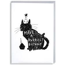 Cats are the cutest but with their 'i don't care about you' attitude, it makes us love them even more. Purrrfect Birthday Card Jelly Armchair Illustrated Puns Humorous Greeting Cards Jelly Armchair