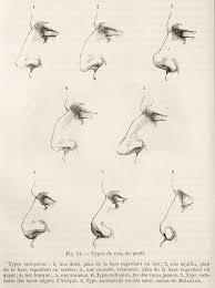 Paul Topinard Wikiwand This revealed there to be 14 types of nose, with classifications ranging from 'fleshy' to 'celestial'. paul topinard wikiwand