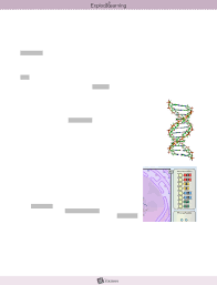 Carbon cycle gizmo answer key | carbon cycle gizmo answer … , building dna worksheets kiddy math. Https Www Studocu Com En Ca Document Trent University Introductory Chemistry I Mandatory Assignments Anna S Student Exploration Building Dna 9384537 View