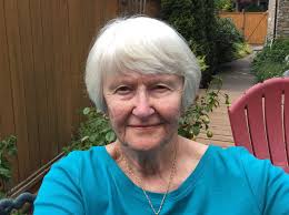 donor newsletter november 2020