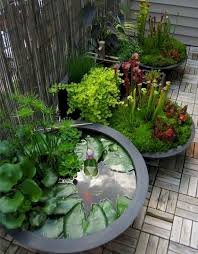 We did not find results for: 55 Unusual Backyard Pond And Water Feature Landscaping Ideas Ponds Backyard Container Water Gardens Water Garden