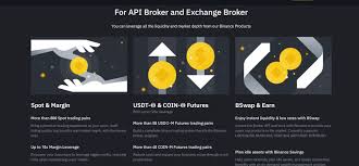 Binance have created a trading product, leverage tokens, with no risk for liquidation. Binance Broker Program How Binance Serves U S Citizens Through Cryptorg