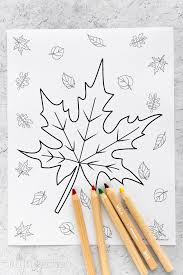 Collect some real leaves to glue onto your leaf pictures. Autumn Leaves Coloring Pages Olga In The Kitchen