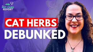 Avoid These 5 Costly Puppy Mistakes