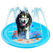 Let this blue 1.6m water sprinkler play mat keep your kids cool and fresh, guaranteed. Oncpcare Summer Dog Pad Sprinkler Interacting Dog Toy Outdoor Cooling Dog Play Mat Kids Wading Pool Water Spray Mat Buy Online In Guyana At Guyana Desertcart Com Productid 200898208