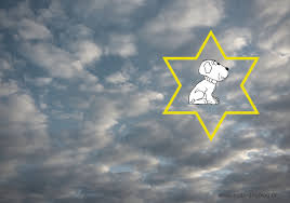Wenn Der Beste Freund Für Immer Geht Ricas Dogblog