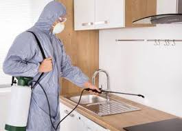 North mississippi pest control is located in southaven, mississippi. Yarbrough S Termite Pest Control Spiders New Albany Ms