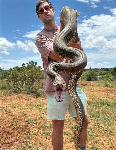 Southern African Rock Pythons (Python natalensis) we found the last couple  of days in Zimbabwe. #python #rockpython #travel #travelgram #africa  #zimbabwe #nature #conservation #pythonsofinstagram #wildlife  #wildlifephotography #elgringogrande