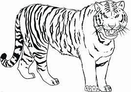 Saber Tooth Tiger Coloring Page Best Of Saber Tooth Tiger Coloring Page At Getcolorings In 2020 Animal Coloring Pages Coloring Pages To Print Shark Coloring Pages