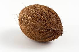 Image result for images of coconut
