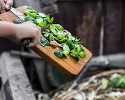 person composting food scraps