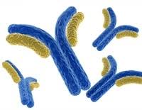 The virus has had several outbreaks across the world since then, with much research focus on its structure and transmission method due to its unusual nature. Scientists Unveil New Ebola Virus Vaccine Design