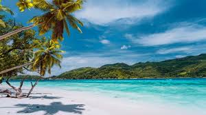 Find your favorite image in the list above. Caribbean Beach Zoom Background Templates Postermywall