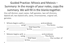 Number of chromosome pairs in original cellcontinue reading mitosis and meiosis webquest part d. Warmup 4 26 16 Complete The Mitosis Vs Meiosis Inquiry Activity Ppt Video Online Download