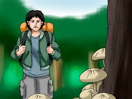 Please post any bug reports in the bug thread by pressing the button submit a bug please follow the requirements inside the thread. 5 Ways To Survive Being Lost In The Forest Wikihow