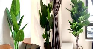 Maybe you would like to learn more about one of these? Nak Hias Rumah Bagi Naik Seri Ini 5 Kedai Pokok Hiasan Viral Yang Berbaloi Di Shopee Fly Fm