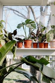 Con una o varias luces, con regulador de intensidad incorporado o sistema de sube y baja. 10 Ideas De Decoracion Con Plantas Colgantes Uma Decoracion