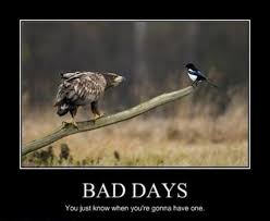 Rough Day Meme Funny