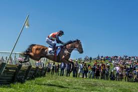 Point-to-Point Steeplechase
