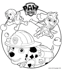 I want to know how to make a screen print and also a screen printer. Paw Patrol Cartoon Coloring Pages Printable