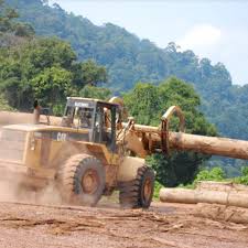 Visiting wood based industry in lampung. Pertahankan Kredibilitas Svlk Ketelusuran Peredaran Dan Perdagangan Kayu Perlu Diperkuat Tric Indonesia