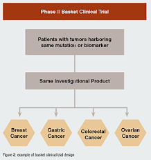 Image result for Clinical Adaptive Test