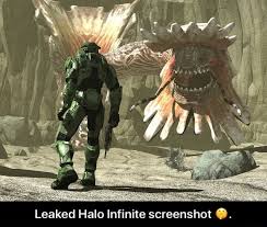 Check out this fantastic collection of halo infinite wallpapers, with 31 halo infinite background images for your desktop, phone or tablet. Leaked Halo Infinite Screenshot Leaked Halo Infinite Screenshot Ifunny