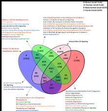 In terms of compatibility, the major difficulty for this couple will be communication. Overlap Between Gene Sets Of Four Female Cancers Top Canonical Download Scientific Diagram