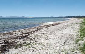 Sandy beautiful beach with lots of shade and forest. Holiday Home Knebel Strand Denmark D39765 Novasol