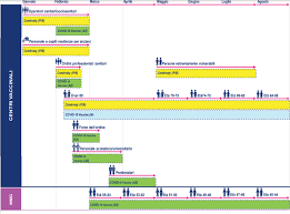 Grande successo che garantira' ai ragazzi di sostenere esami in sicurezza. Vaccini Nel Lazio Quando Tocchera A Voi Ecco Il Piano