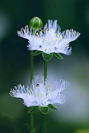 Pin On Nature