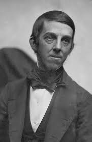 Dinosaur Tracks Discovery