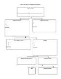 Editable Flow Chart Worksheets Teaching Resources Tpt