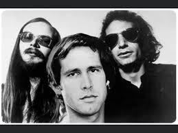 Actor Chevy Chase played drums in Bard college for a band called The  Leather Canary. He left the band after a couple of months because he didn't  think anything would come of